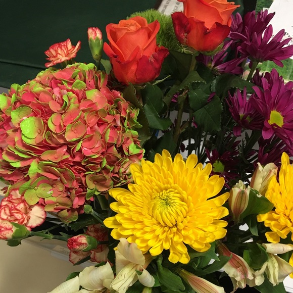 Meet your Posher, Michele - Picture 1 of 1